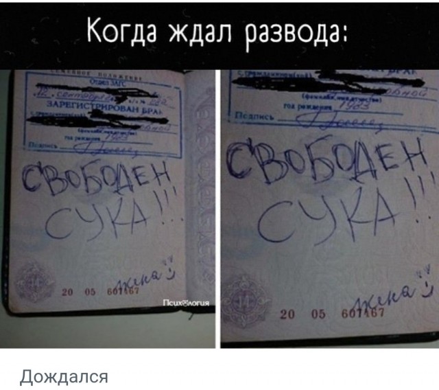 Картинки с надписями фразы  и анекдоты 16.11.20