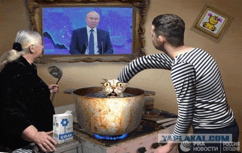 Фото от РИА Новости, как простые россияне и их кот внимательно слушают своего президента