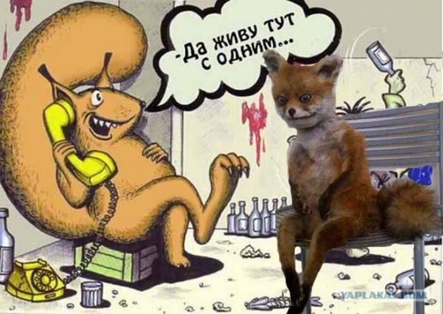Таксидермия + наркомания