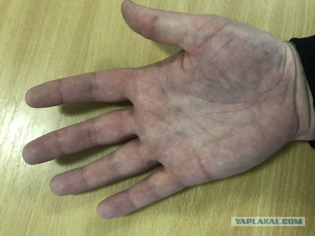 Хиромант