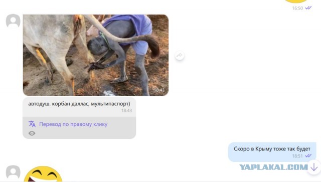 Картинки и мемы для настроения 23.02.21