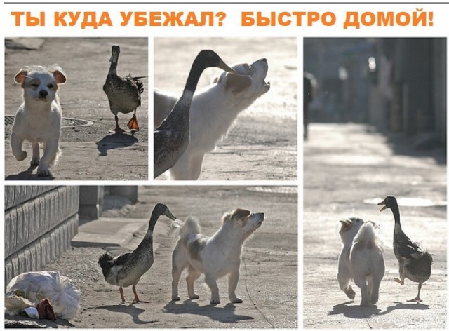 Картинки разные
