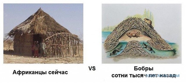Негр - гопник vs. Усатый мужик