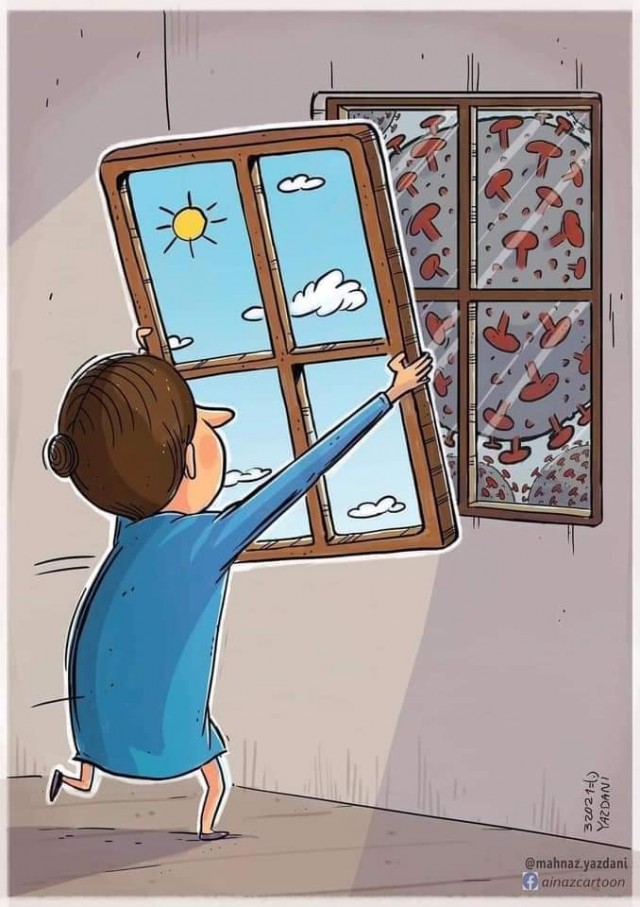 Crazy Art "МультиМедиа"