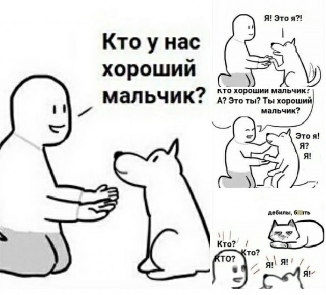 Так себе картинки 21.04.21