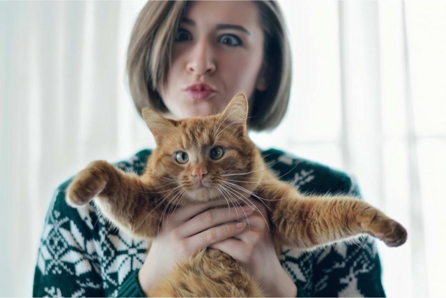 Девушки котовторника