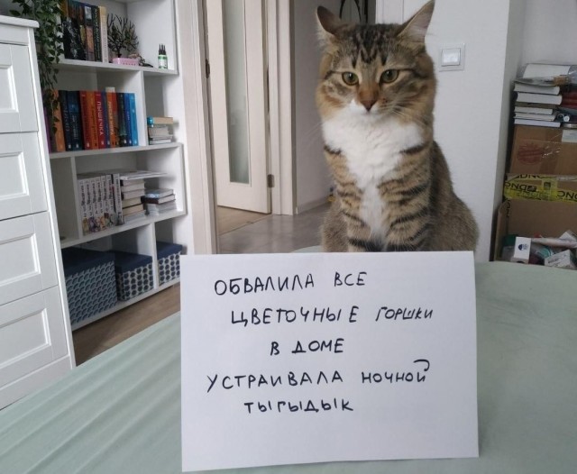 Подборка всякой живности