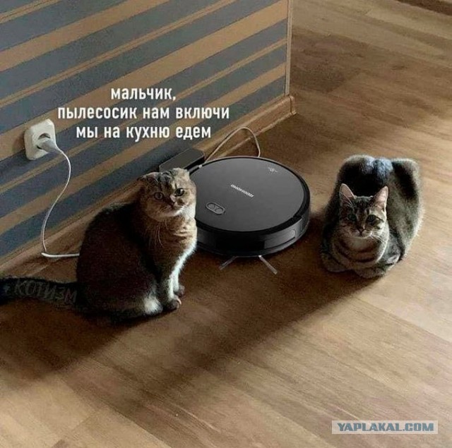 Так себе картинки 20.05.21