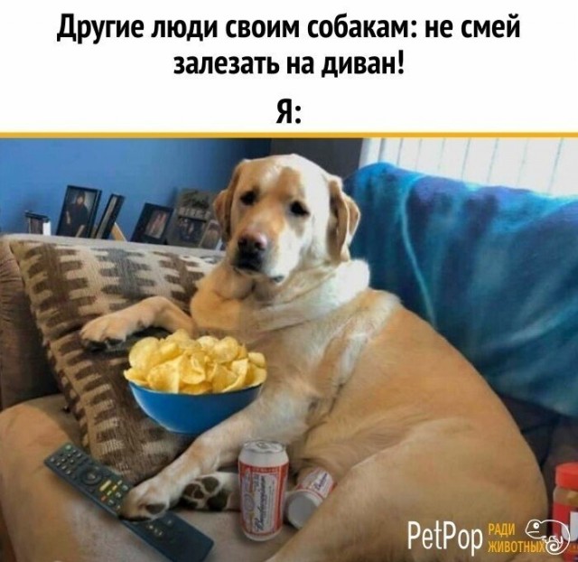 Картинки и мемы для настроения