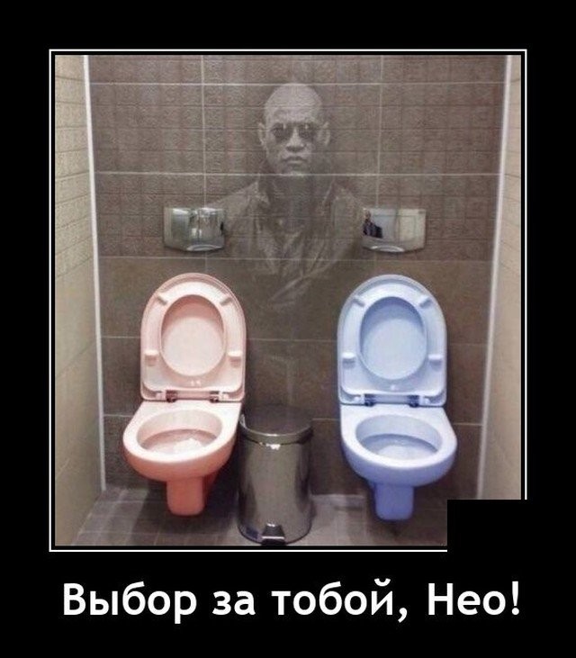 Прикольные и просто красивые картинки 13.07.2021