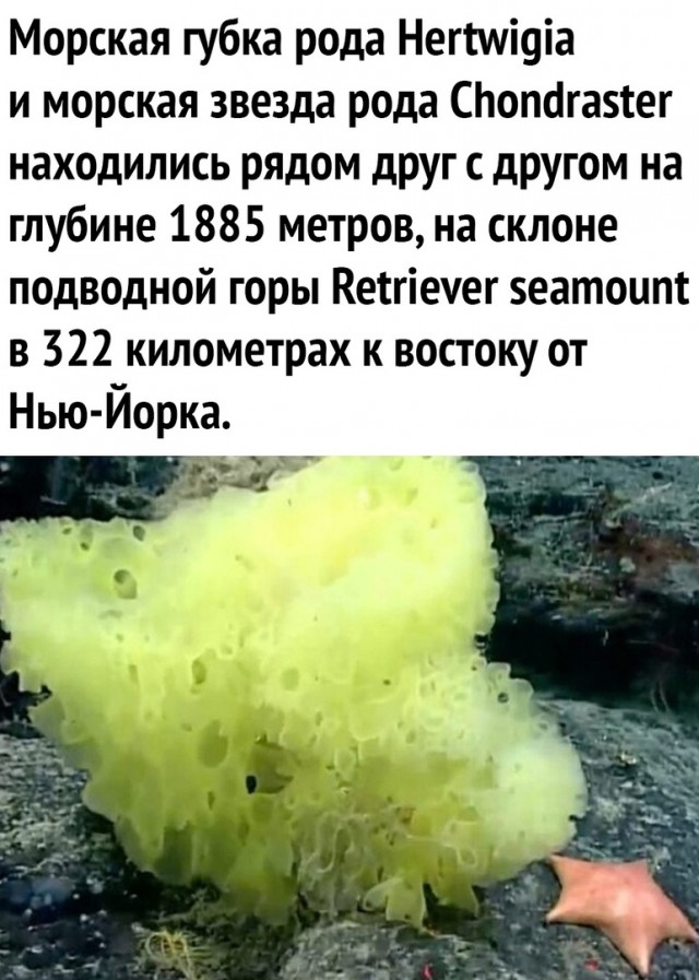 Так себе картинки 31.07.21