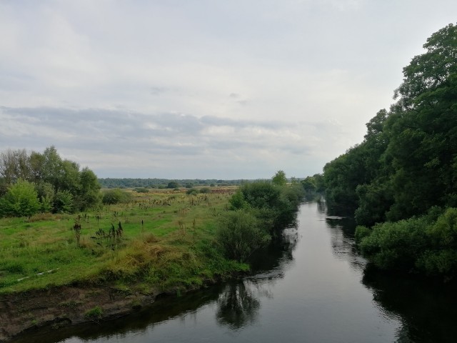 Сплав по реке Десна 01.08-08.08.2021