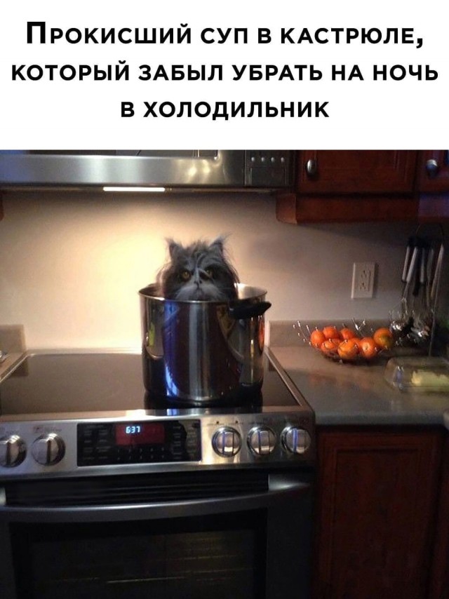 Пятничные Кретинизмы из сети 10.09.21