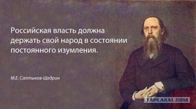 Об оскорблении чувств. Ж*пами