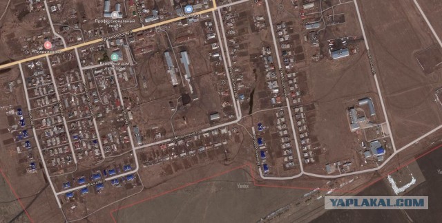 Первое официальное выступление нового канцлера Германии Олафа Шольца