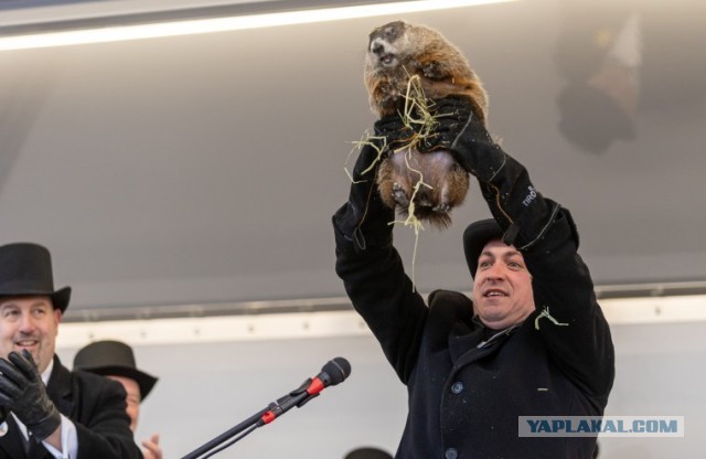 Весна не будет!