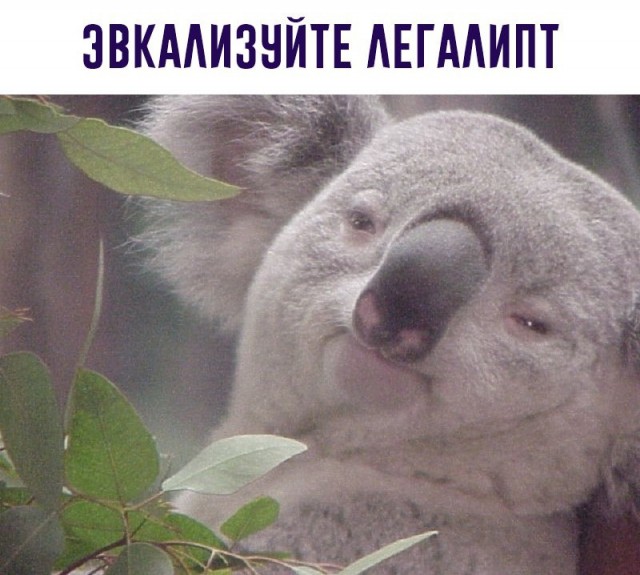 Ловите момент