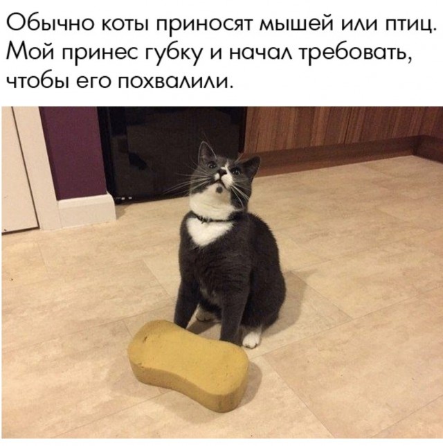 Так себе картинки 04.04.22