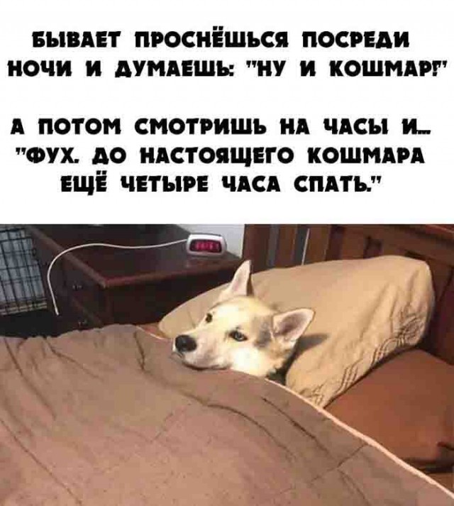 Всякой Хни вам в ленту, дорогие деграданты...