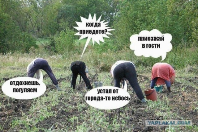 Немного пятничных и где то смешных картинок