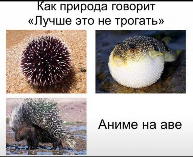 Картинки аморальные и всякие разные - 31