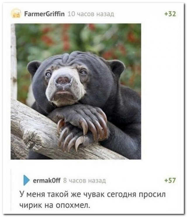 Забавные комментарии из социальных сетей (30.05.22)