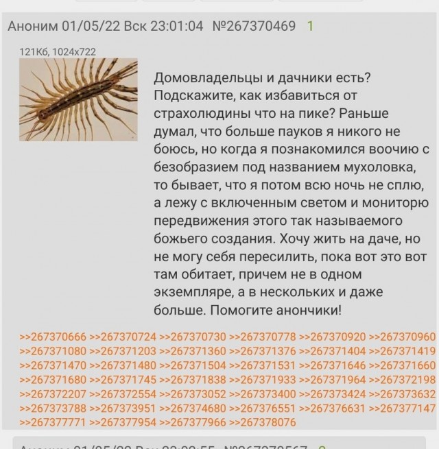 Так себе картинки 11.06.22