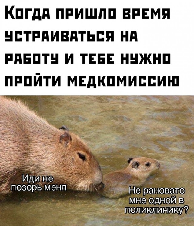 Картинки и мемы для настроения - 29