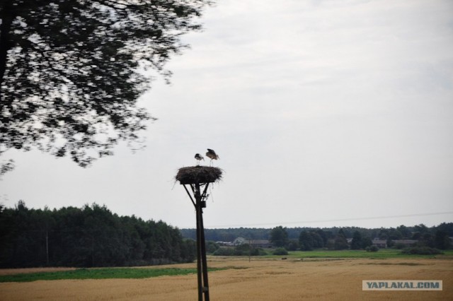 Мой Евротур