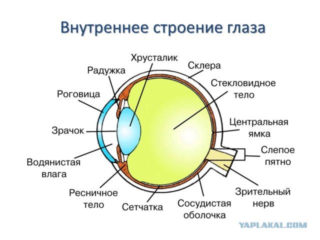 NASA показало свежие снимки Юпитера, сделанные при помощи телескопа Джеймса Уэбба