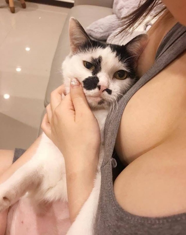 Кисковторник для взрослых