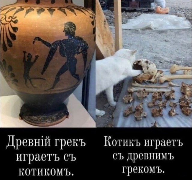Немного картинок для настроения - 129