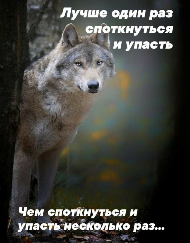 Всего понемногу. От 21.04.