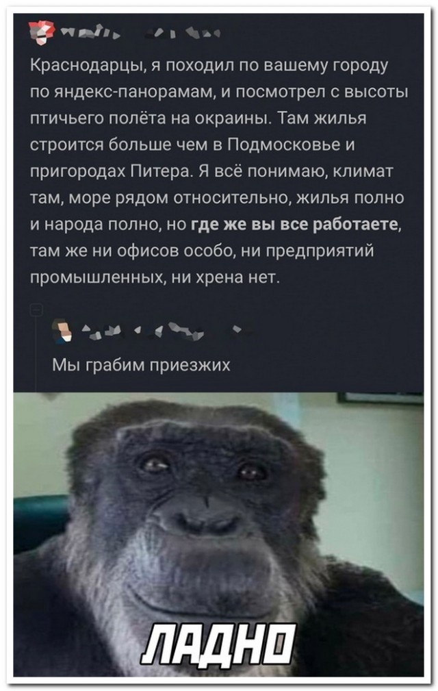 Забавные комментарии из социальных сетей (22.05.23)
