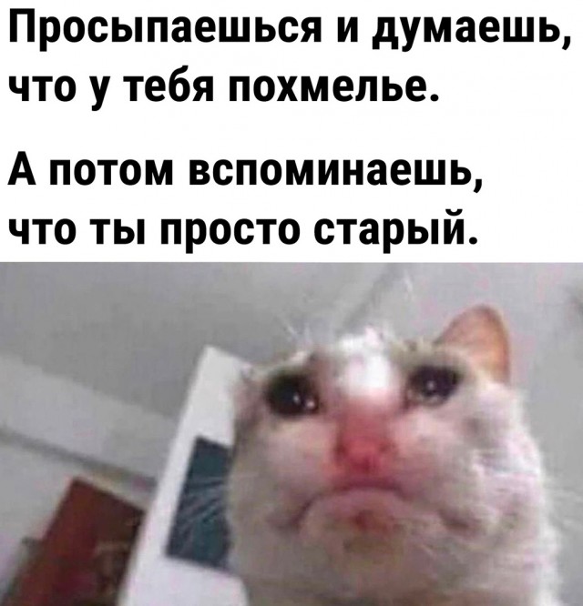 Так себе картинки 04.06.23