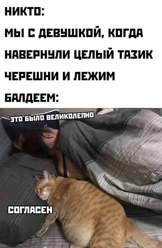 Так себе картинки 13.07.23
