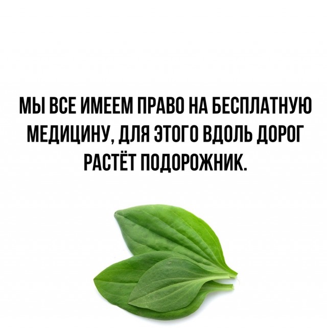 Так себе картинки 30.09.2023