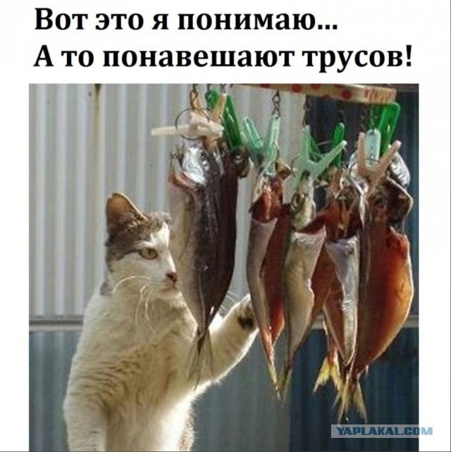 Советы от жадины, скряги и редкого жмота