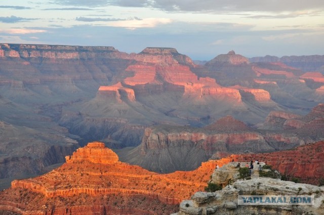 Ford Mustang напрокат