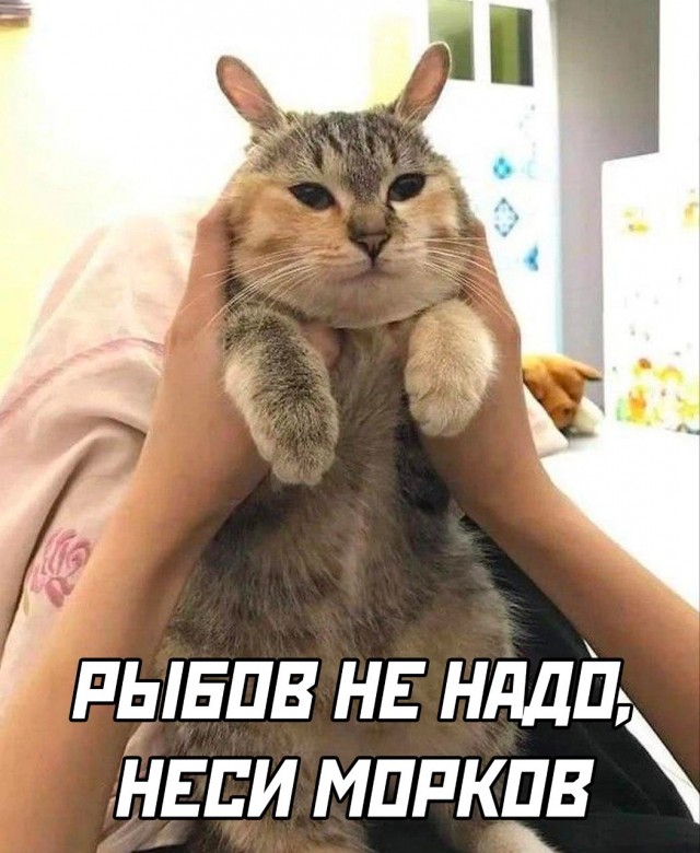 Отряд быстрого деградирования