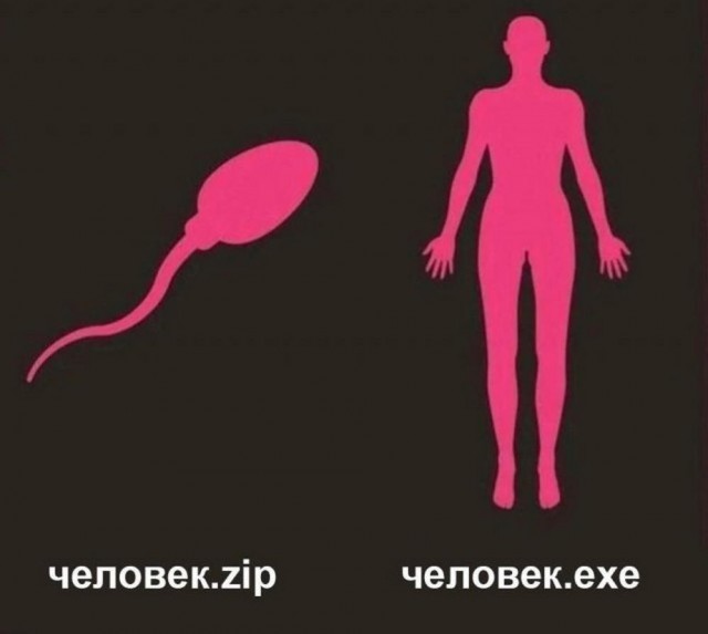 Всего понемногу. От 29.01.24