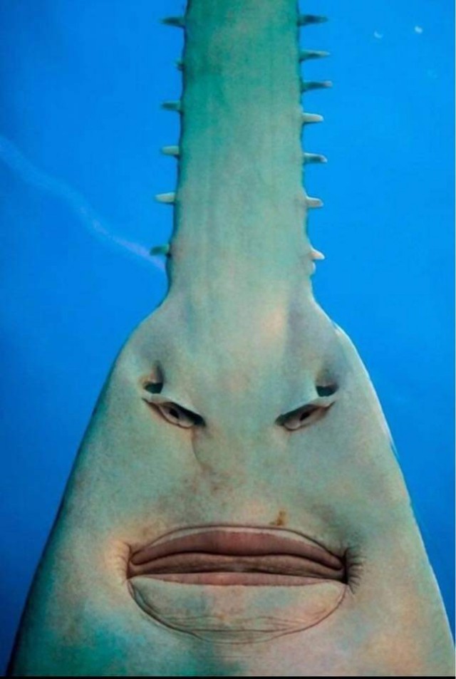 Нуштош 05.06.2024
