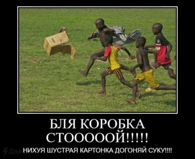 Нуштош 08.08.2024