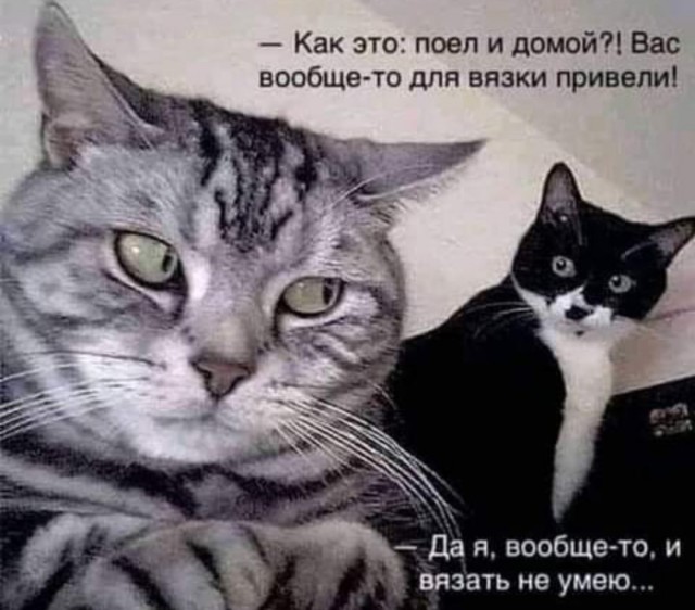 Так себе картинки 26.08.24