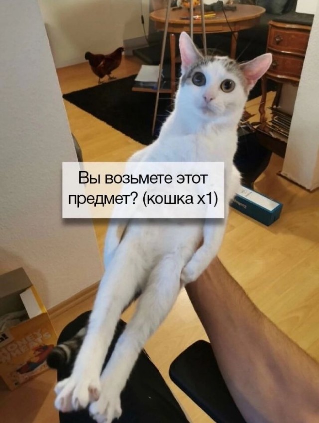 Веселые картинки к маленькой пятнице (25.09)