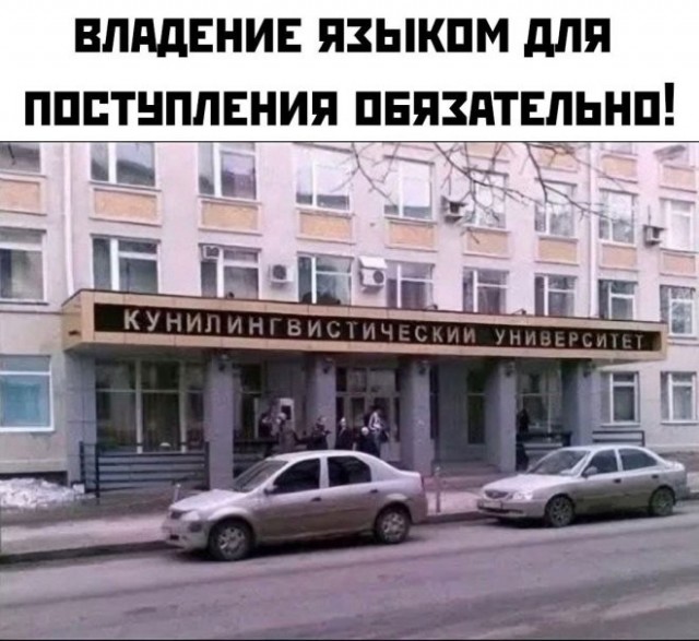 Немного забавных картинок от 2.10.2024