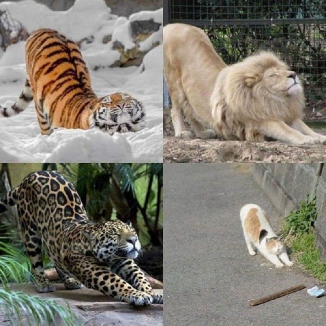 Картинки разные с надписями и без