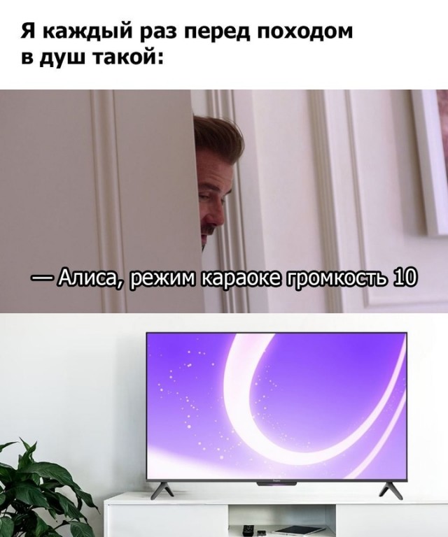 Весёлый полтишок 01.11.24