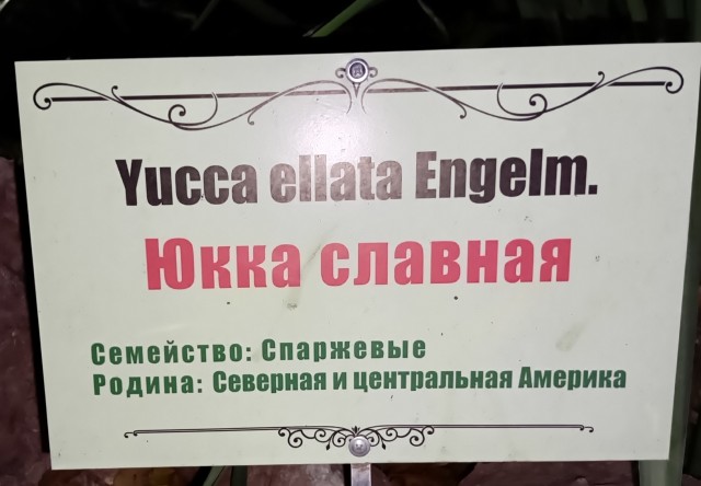 Факты