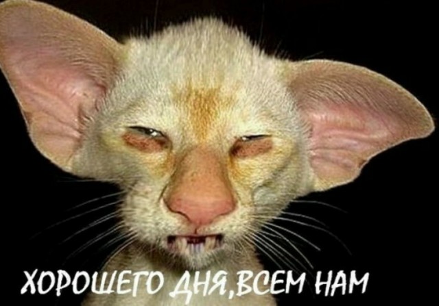 Попить немного чаю, чтобы успокоиться